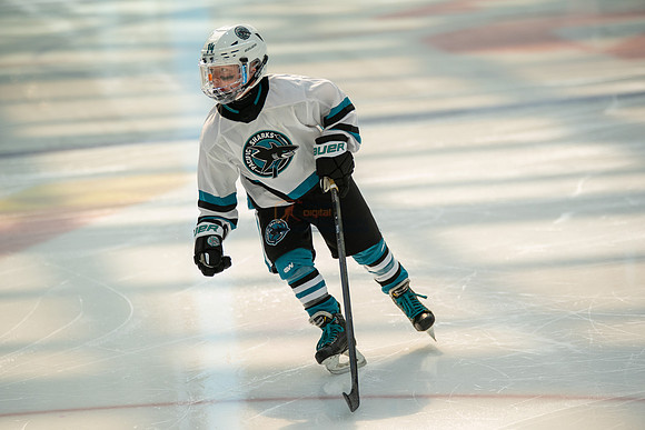 sharks--may1-0025