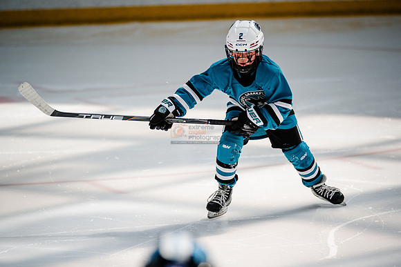 Sharks-may3-0110