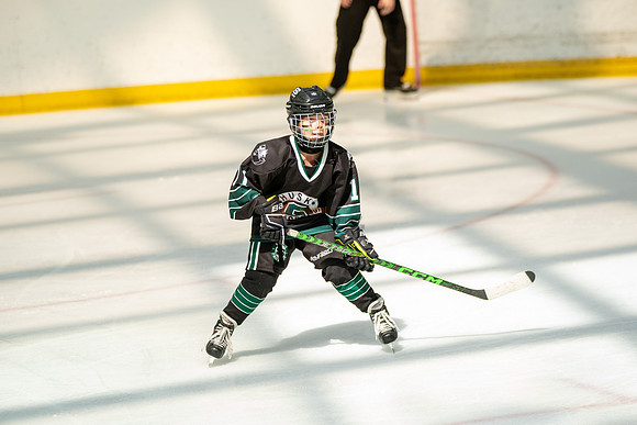 Husky-prospects-0356