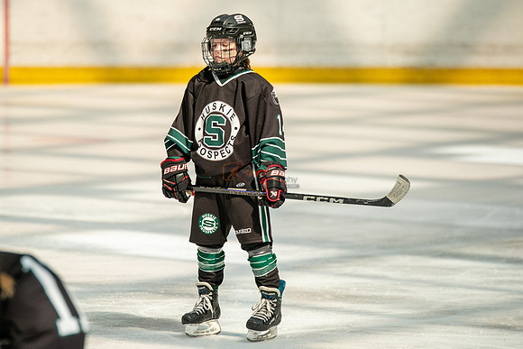 Husky-prospects-0276