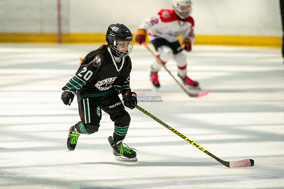 Husky-prospects-0313