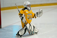 PRedators-yellow-2