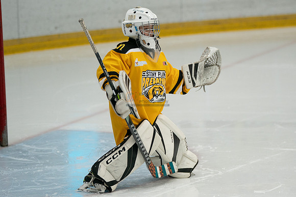 PRedators-yellow-2