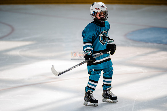 Sharks-may3-0116