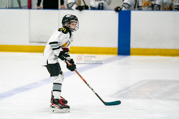 stplpreds-39