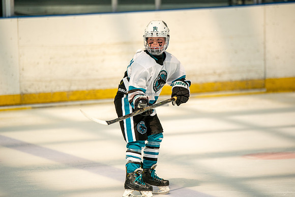sharks-may2-0189