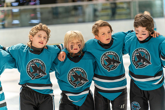 Sharks-may3-9901