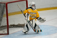 PRedators-yellow-12