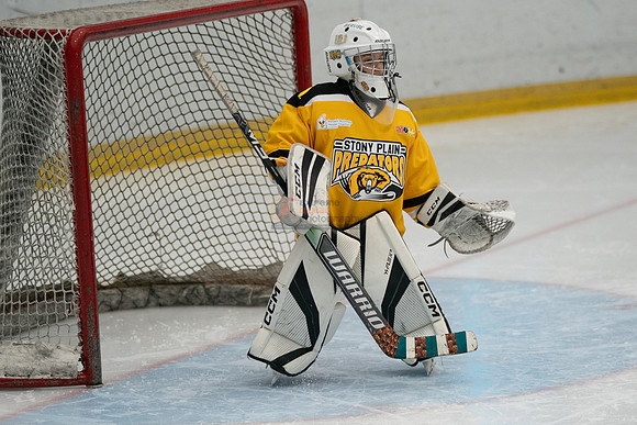 PRedators-yellow-12