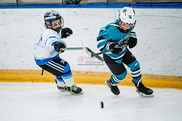 Sharks-may3-0064
