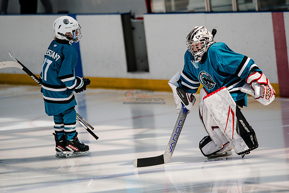 Sharks-may3-0002
