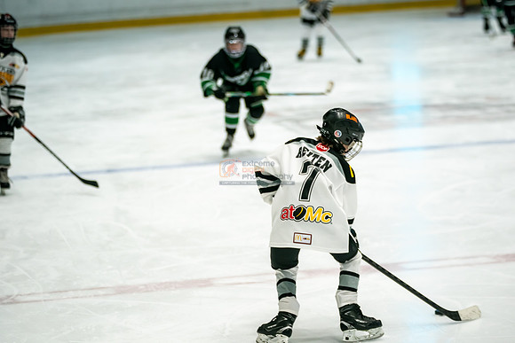 stplpreds-47