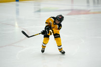 PRedators-yellow-5