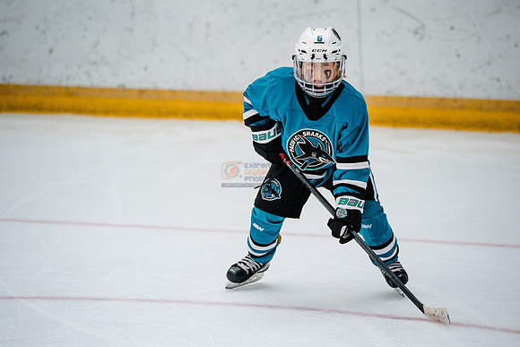 Sharks-may3-0376