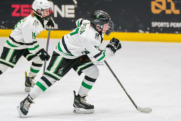 allstar-feb7-Basha-2-9