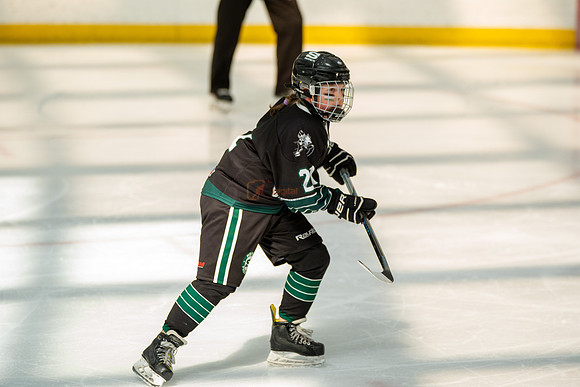 Husky-prospects-0206