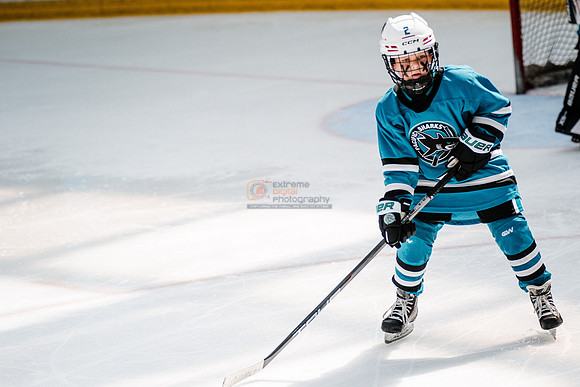 Sharks-may3-0331