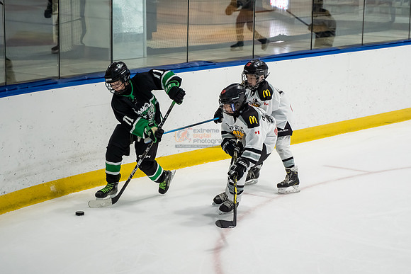 stplpreds-2-13