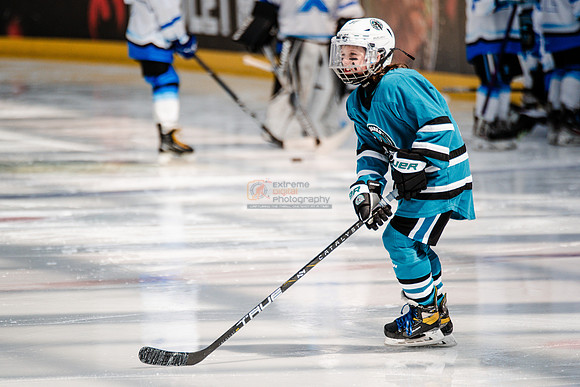 Sharks-may3-0033