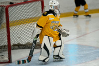PRedators-yellow-3