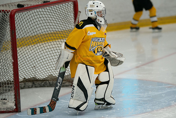 PRedators-yellow-3
