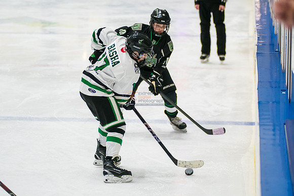 allstar-feb7-Basha-3-2