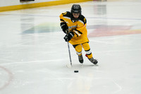 PRedators-yellow-6