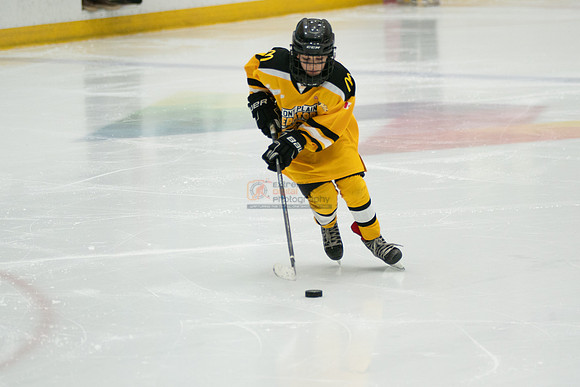PRedators-yellow-6