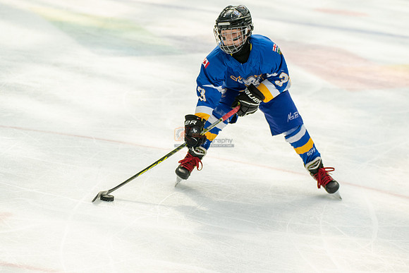 Bisons-2-19