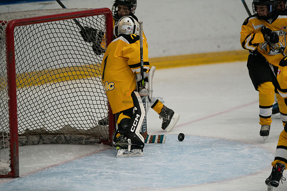 PRedators-yellow-26