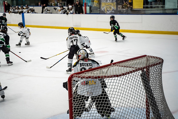 stplpreds-2-9
