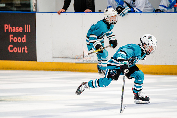 Sharks-may3-0381