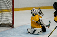 PRedators-yellow-19