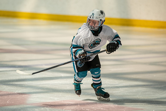 sharks-may2-0059