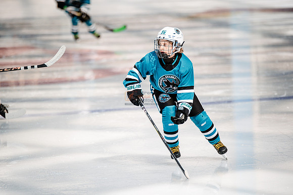 Sharks-may3-0204