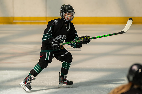 Husky-prospects-0254