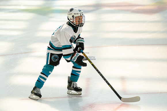 sharks--may1-0027