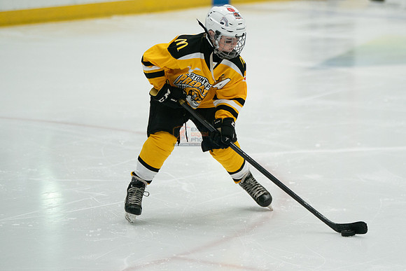 PRedators-yellow-10