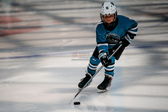 Sharks-may3-0026