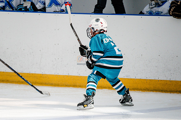 Sharks-may3-0079