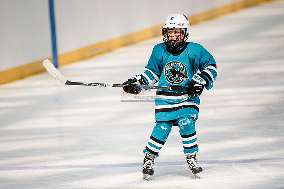 Sharks-may3-0179