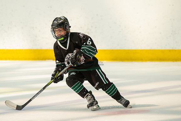 Husky-prospects-0401