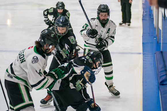 allstar-feb7-Basha-3