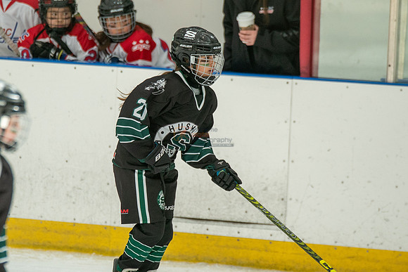 Husky-prospects-2-17