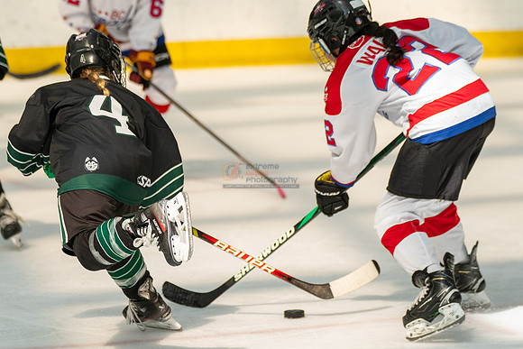 Husky-prospects-0346