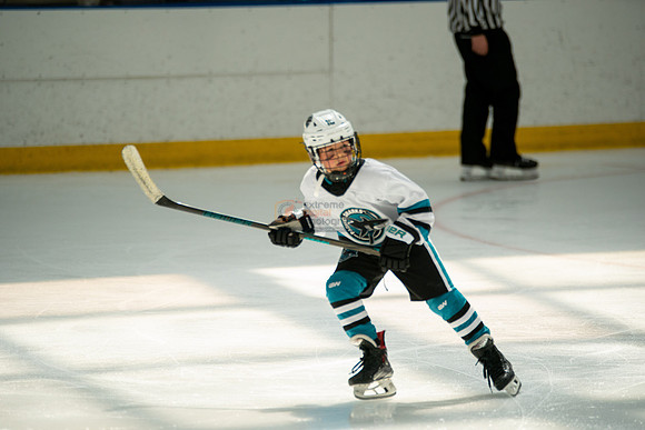 sharks-may2-0338