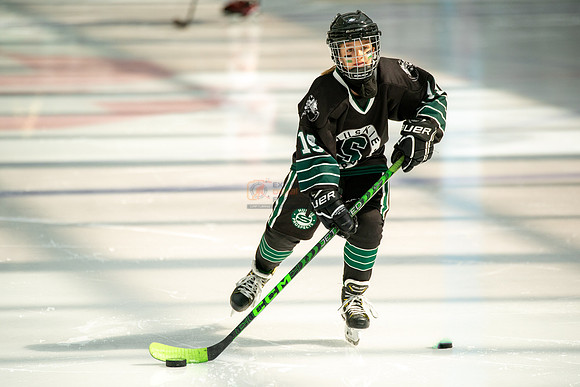 Husky-prospects-0026