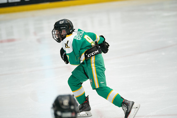 Raiders-0113