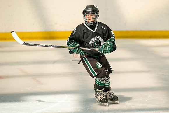 Husky-prospects-0247