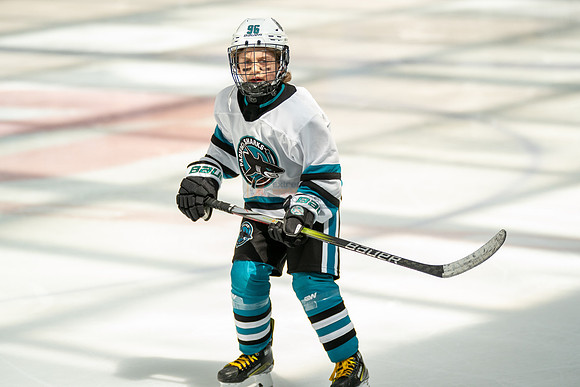 sharks-may2-0180